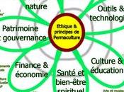 Blog salade pour alimentation permaculturelle