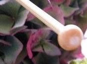 COURS ...Les couleurs l'Automne n'ont fini n...