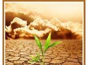 Elle pense, c'est tout