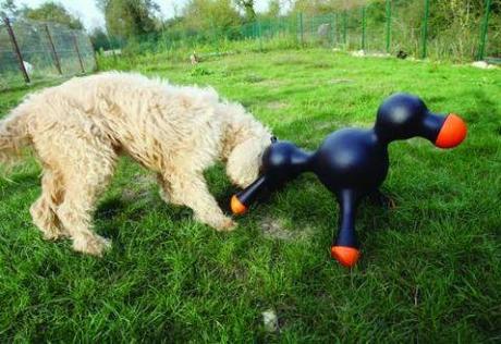 Hotdoll est en vente et cartonne à l'export