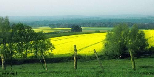 Randonnée sur la voie de « lEAU-dace »