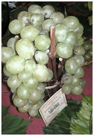 2009_10_04_graines_de_vendanges21