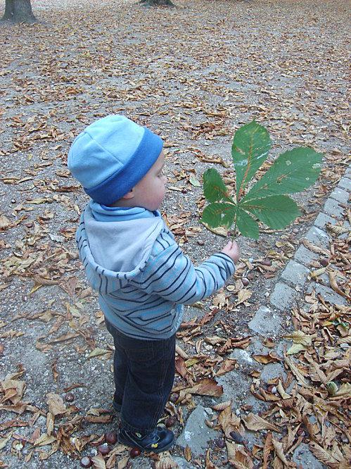 Les joies de l'automne !