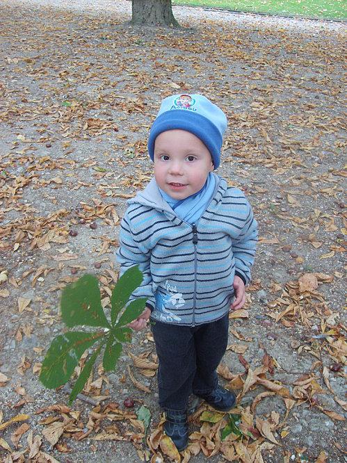 Les joies de l'automne !