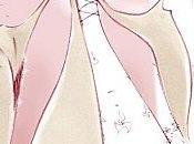 semaines l'heure Moyen-Âge