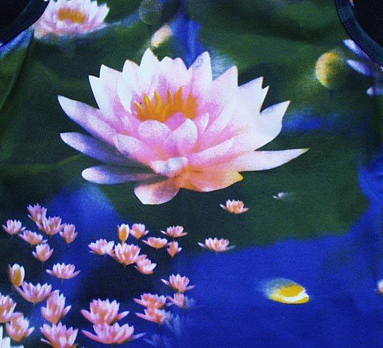 lotus