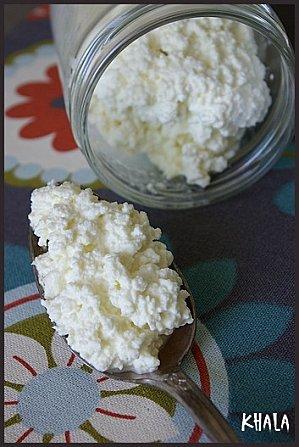 cottage cheese maison