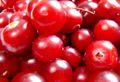 Cranberry