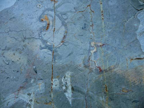 fossile dans le marbre