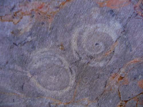 fossile dans le marbre