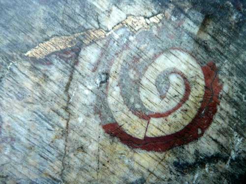 fossile dans le marbre