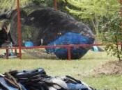 L’Art comme moyen Recyclage