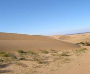 désert de Gobi-Mongolie