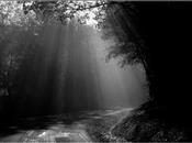 partir lumière (Heather Dohollau)