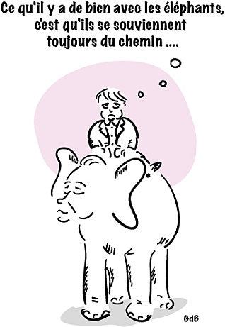 Martine Aubry rappelle les éléphants à la direction du PS