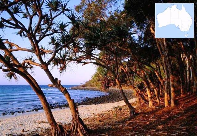 L'Australie, terre lointaine !