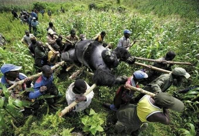 L'actualité en photo