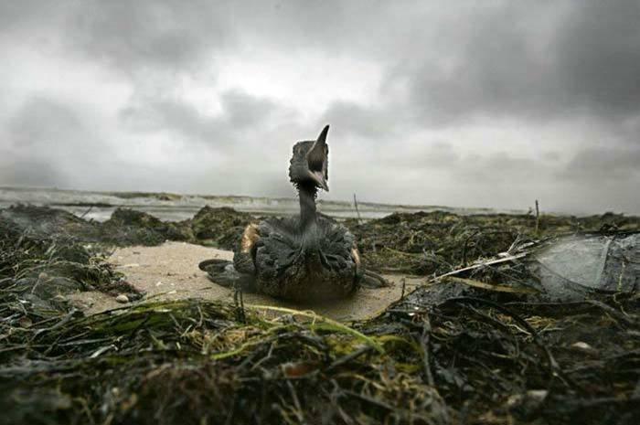 L'actualité en photo