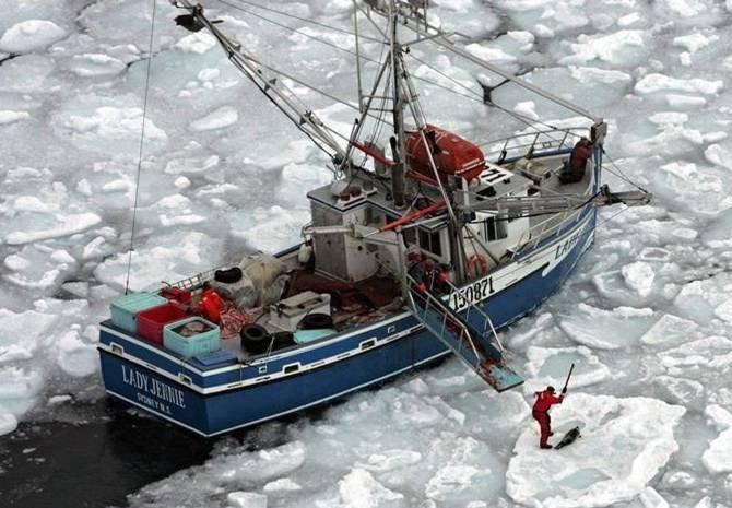 L'actualité en photo
