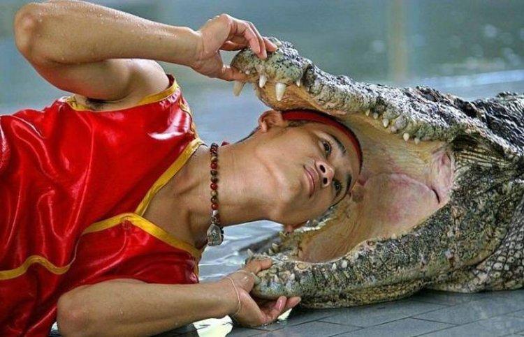 L'actualité en photo