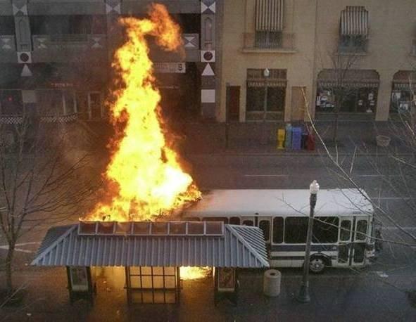 L'actualité en photo