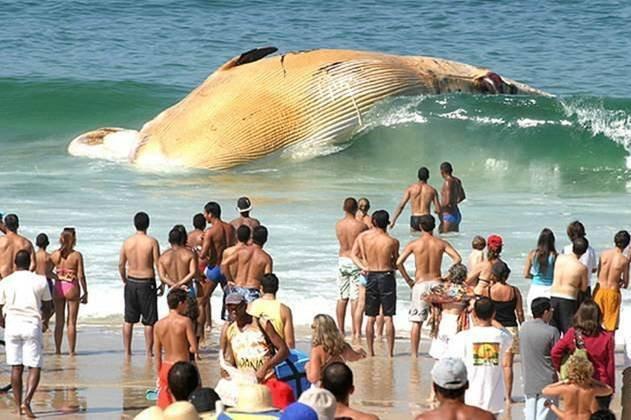 L'actualité en photo
