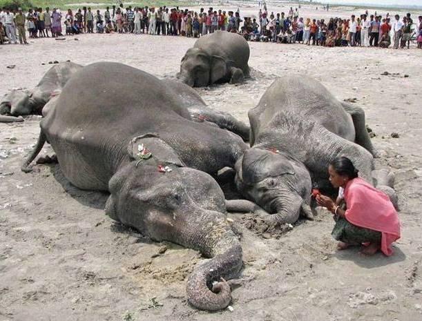 L'actualité en photo