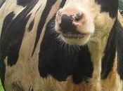 Petite escapade normande