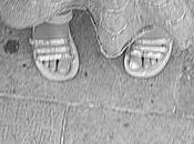 Chaleur automnale estivale