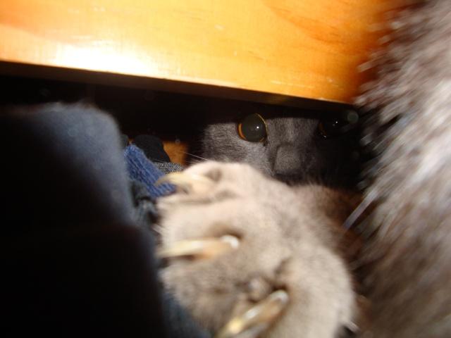 Non, je nai pas grossi !