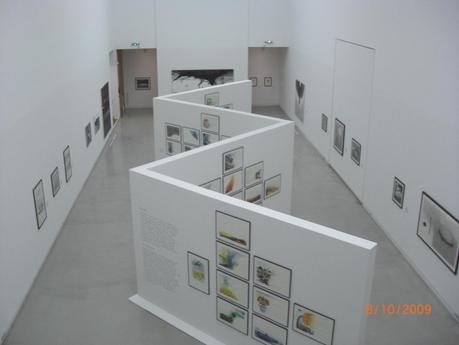 Musée Würth Gao Grass wurth-gao-grass.1255050817.JPG