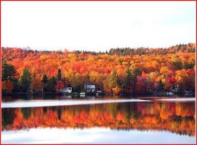 Image d'automne  au Quebec !