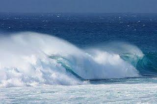 Les forces de la nature