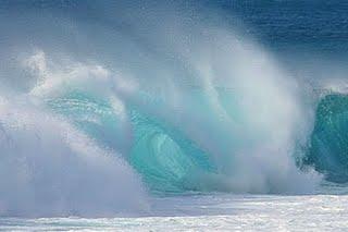 Les forces de la nature