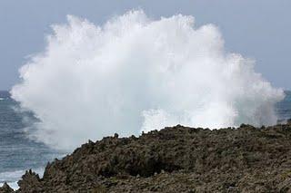 Les forces de la nature