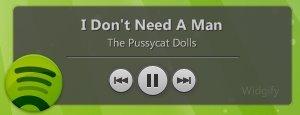 spotify_widget_widgify