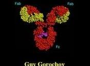 Immunologie Pitié Salpêtrière