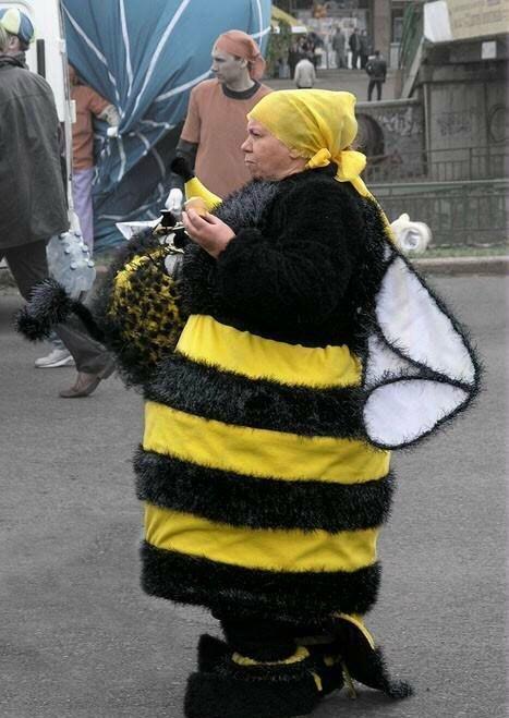 Images insolites (6)