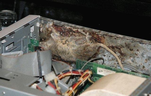 Images insolites (6)