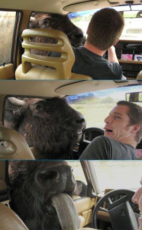 Images insolites (6)