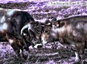 problème portable l’école Sanitaire disciplinaire