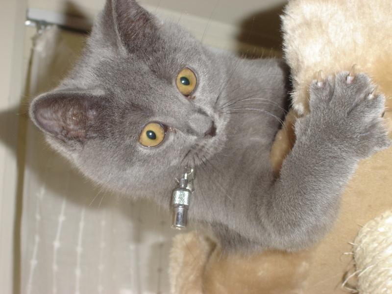 Vie quotidienne à Iriwal :)  (3)