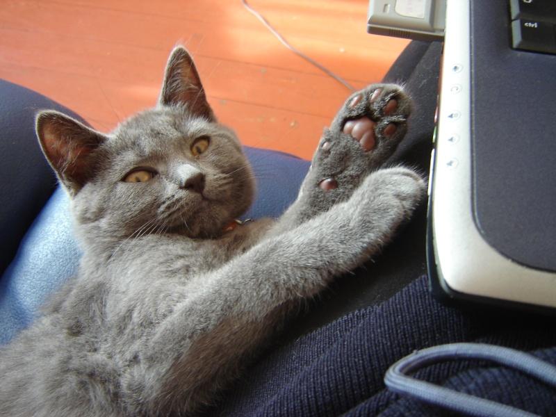 Vie quotidienne à Iriwal :)  (3)