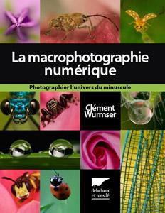 Macrophotographie de Clément Wurmser