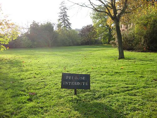 Côté jardin - La pelouse.