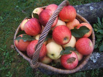 Chutney de potimarron et La confiture de pommes au romarin et miel