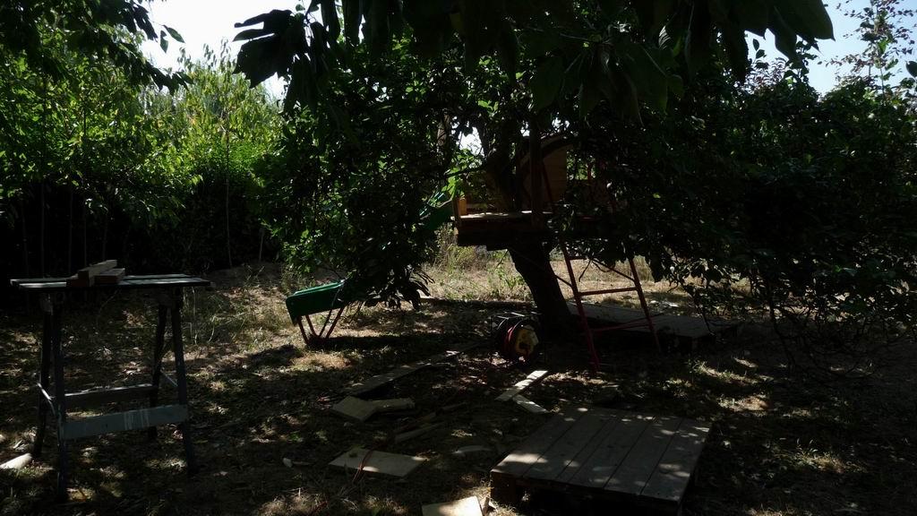 Cabane dans les arbres