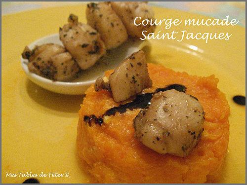 Divine courge muscade en purée et ses Saint Jacques
