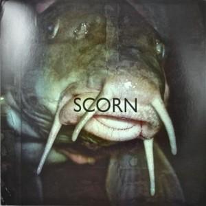 scorn-in-the-margins