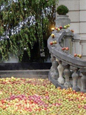 Parterre de pommes